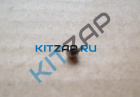 ������  